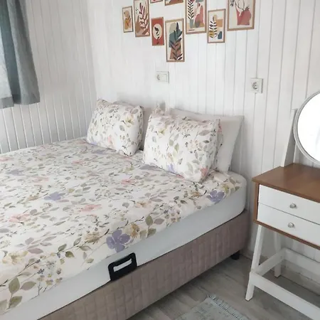 Dalyan Thiny House Villa Ortaca (Mugla)